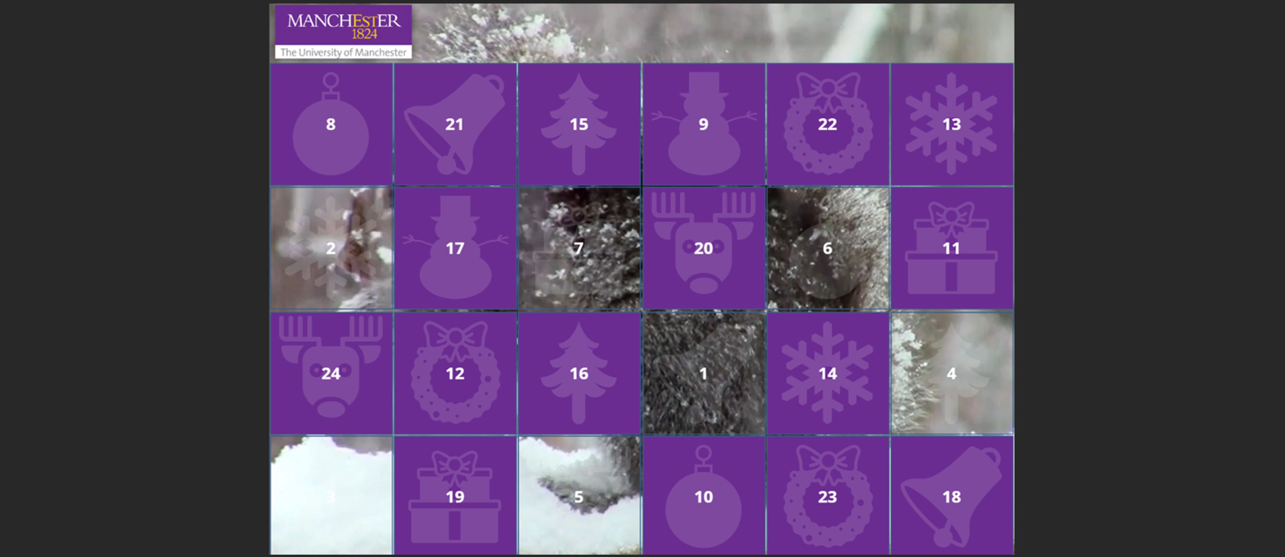 Screenshot of the interactive advent calendar